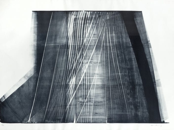 No. 5