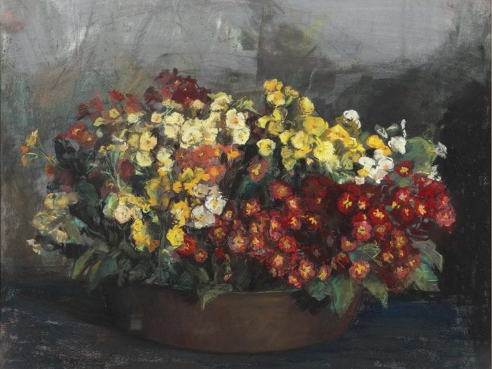 Flower still life